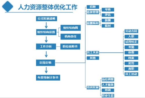 从人力资源专员到总监的技能进阶地图 涵盖计算机软硬件技术研发领域的全面规划